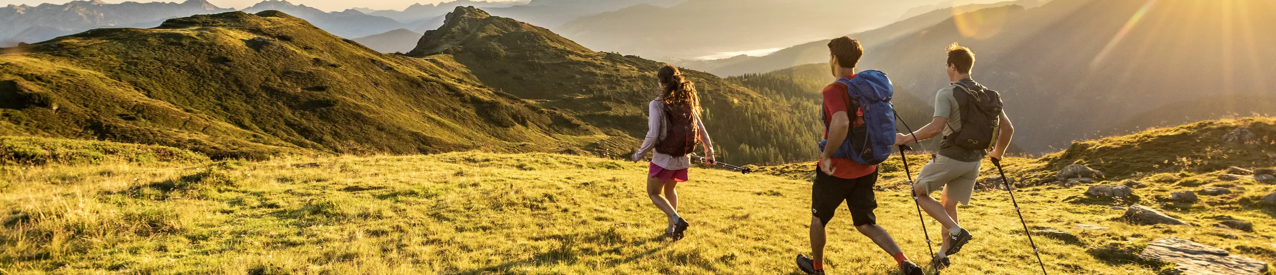 Wandern in Flachau im Salzburger Land